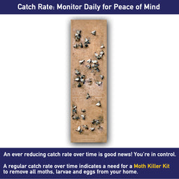 https://www.moth-prevention.com/cdn/shop/products/Moth-Trap-with-moths.jpg?v=1615475750&width=256
