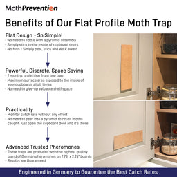 Auqosetra 5 Pack/Set Attractant Moth Trap Pantry Kitchen Anti Moth