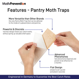 MothPrevention Powerful Pantry Moth Traps Pack of 6 | Moth Killer with  Pheromones | Kitchen Moth Trap for Your Home | Maximum Pheromone Dispersal  | No